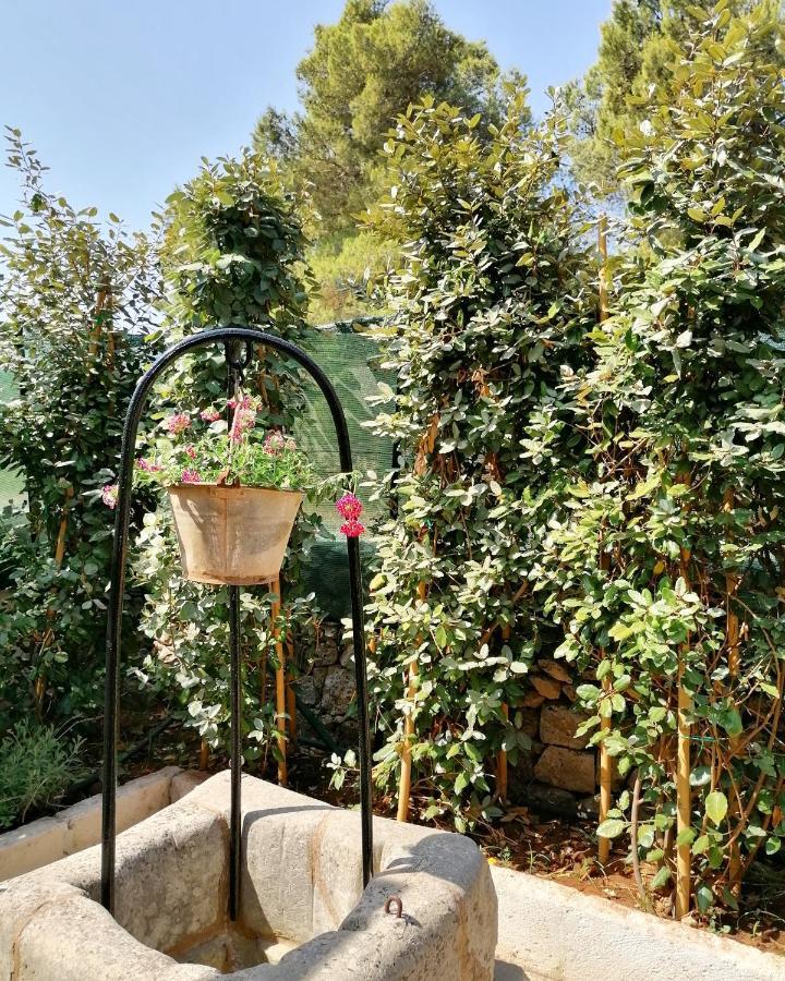 Bed and Breakfast Nicuzza Мартано Экстерьер фото